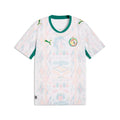 FIFA SENEGAL WORLD CUP 26