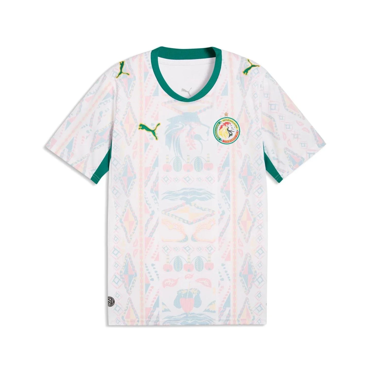 FIFA SENEGAL WORLD CUP 26