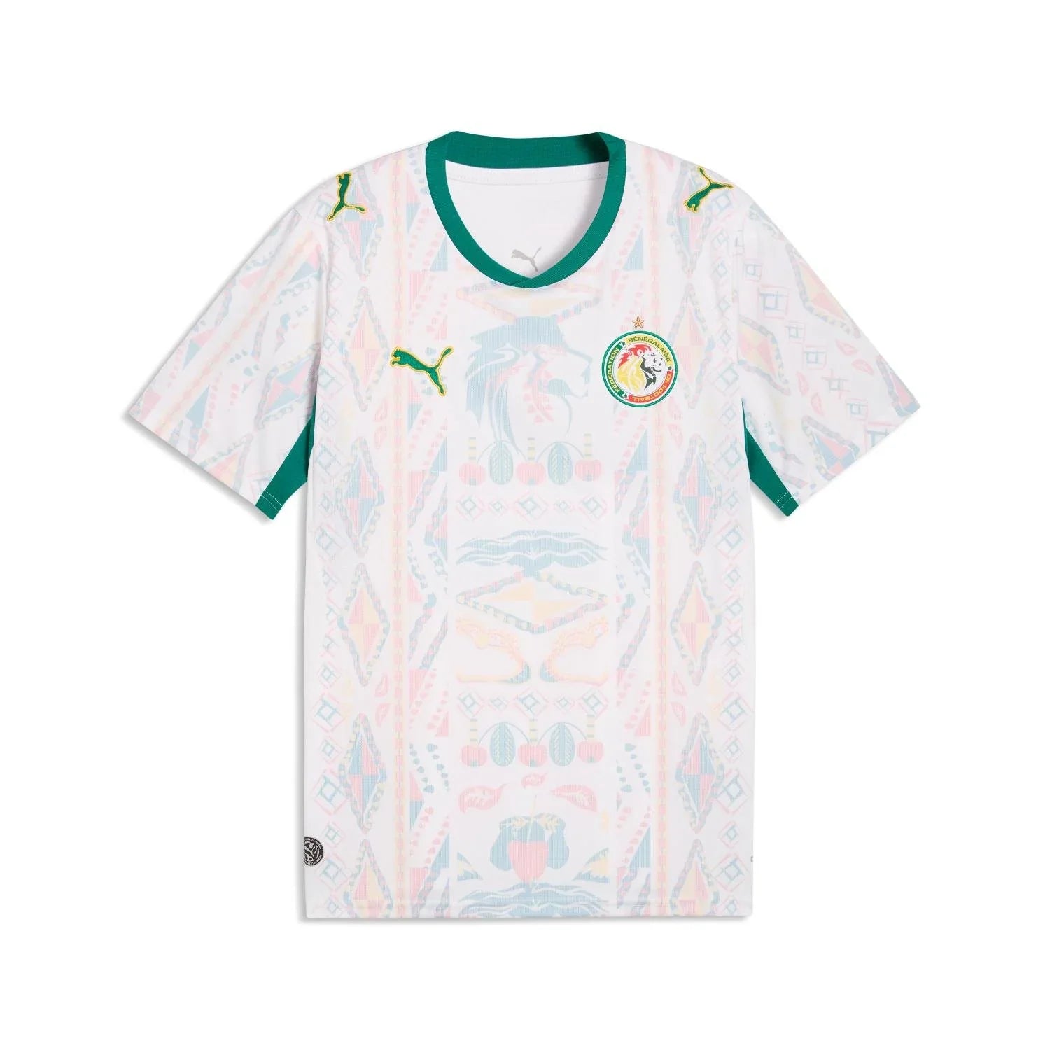 FIFA SENEGAL WORLD CUP 26