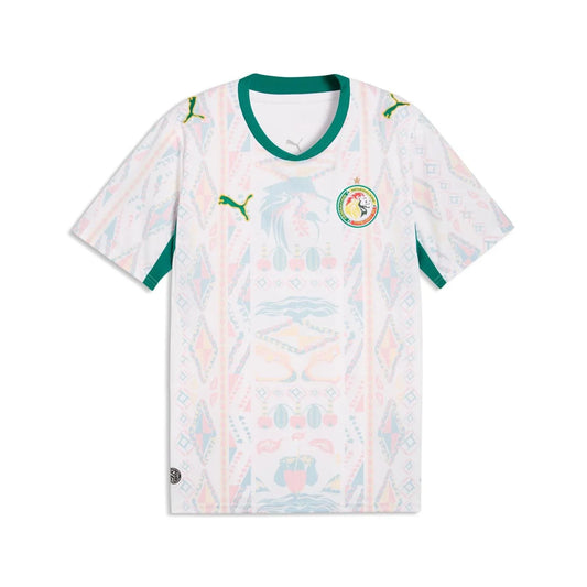 FIFA SENEGAL WORLD CUP 26