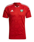 FIFA UAE WORLD CUP JERSEY (AWAY)